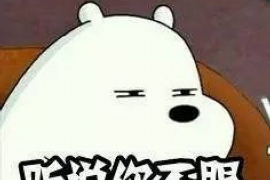 龙游为什么选择专业追讨公司来处理您的债务纠纷？